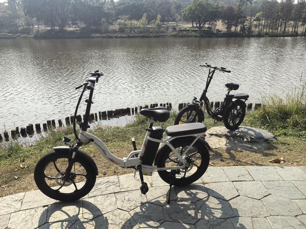ZAZAWORK 20-inch Folding Electric Bike 250W 47Nm Motor 48V 16Ah Battery 25km/h Speed 100km Range 7 Speeds Spring Suspension Disc Brakes