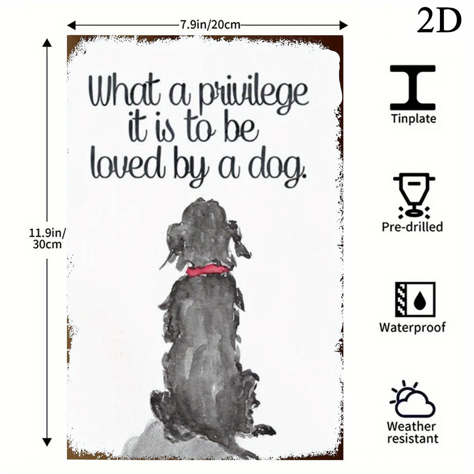 

Square T Fun Story Metal Sign x Inch D Flat Iron Wall Art Warm Pet People Decor for Home Pet Shop Cafe 20x30cm（7.8x11.8inch）