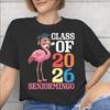 Class of 2026 Senior Graduation Graphic Printed T Shirt for Unisex Unisex Pure Cotton Tee Shirt Clothing