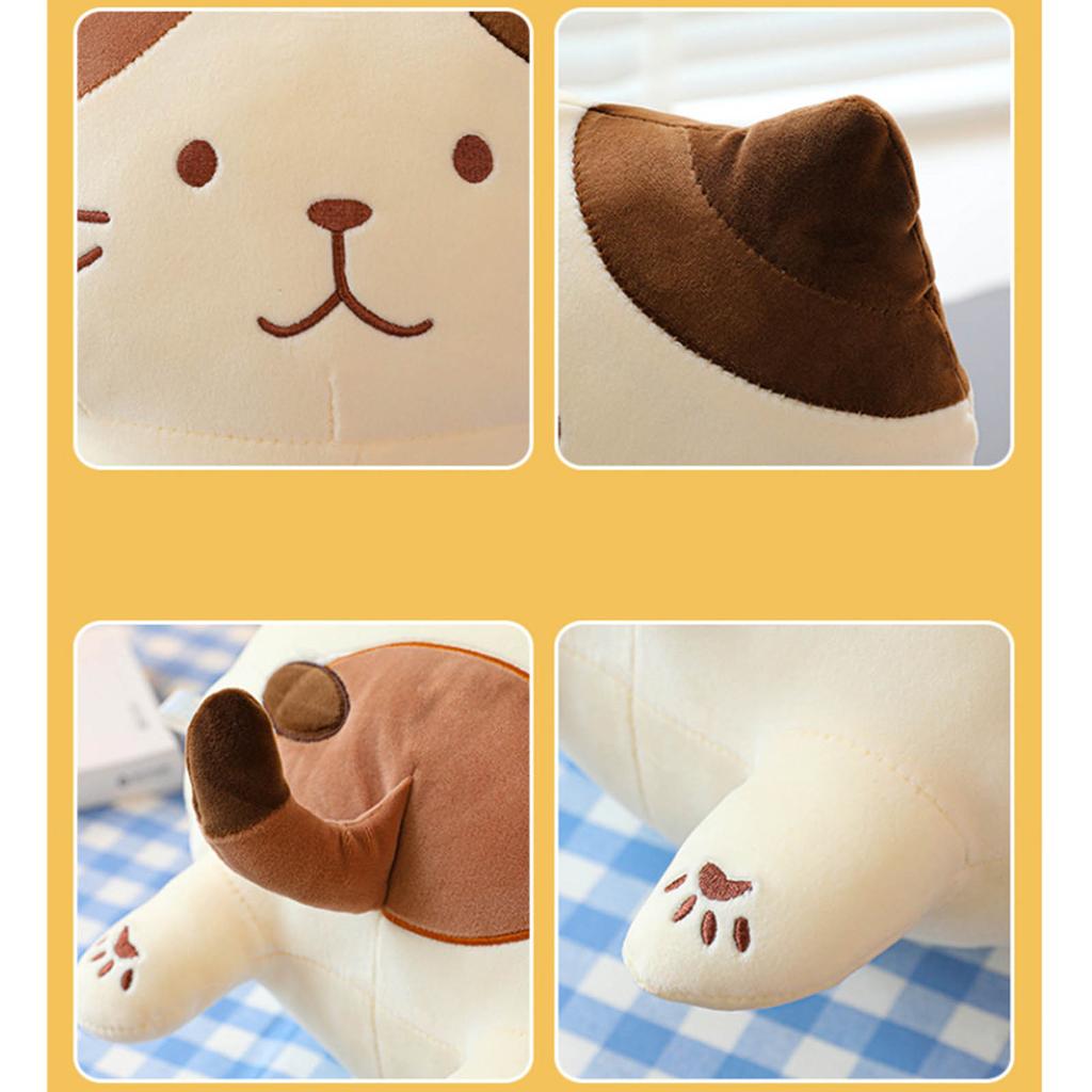 Plush Toys, Cute And Perfect Birthday Gifts For Friends And Classmates, Graduation Gifts
