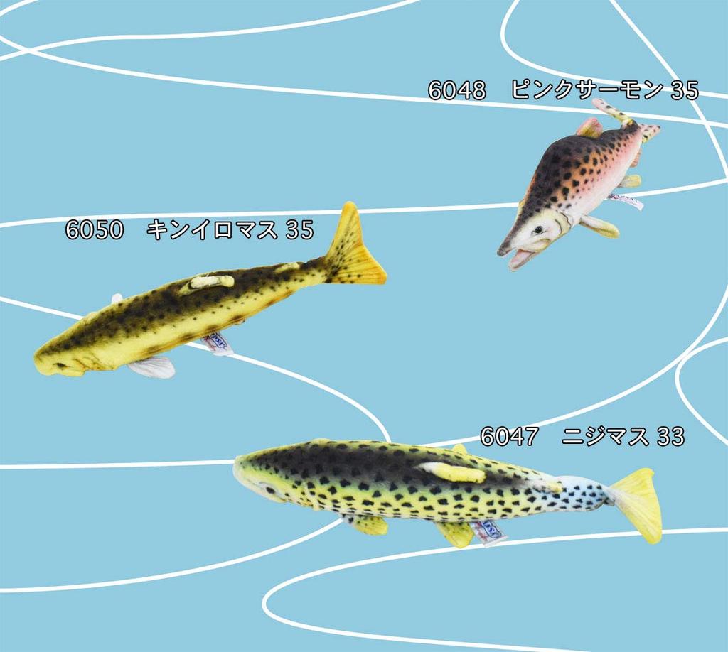 Rainbow trout No. 6047