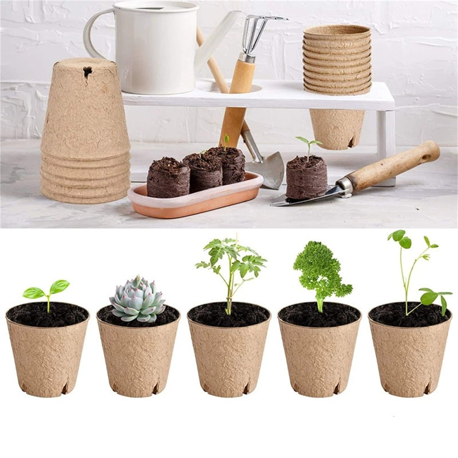 

Plant Pots, Bio Pulp Seedling Cups, Plastic Garden Flowerpots, Eco-Friendly Trays for Flower and Plant Cultivation S