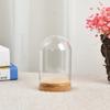 Transparent Glass Plant Flower Toy Display Cloche Bell Jar Dome Wooden Base Tray