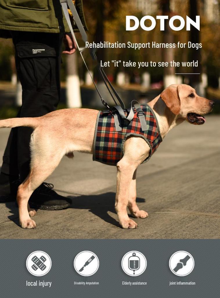 Pet Postoperative & Senior Dog Leg Support Brace