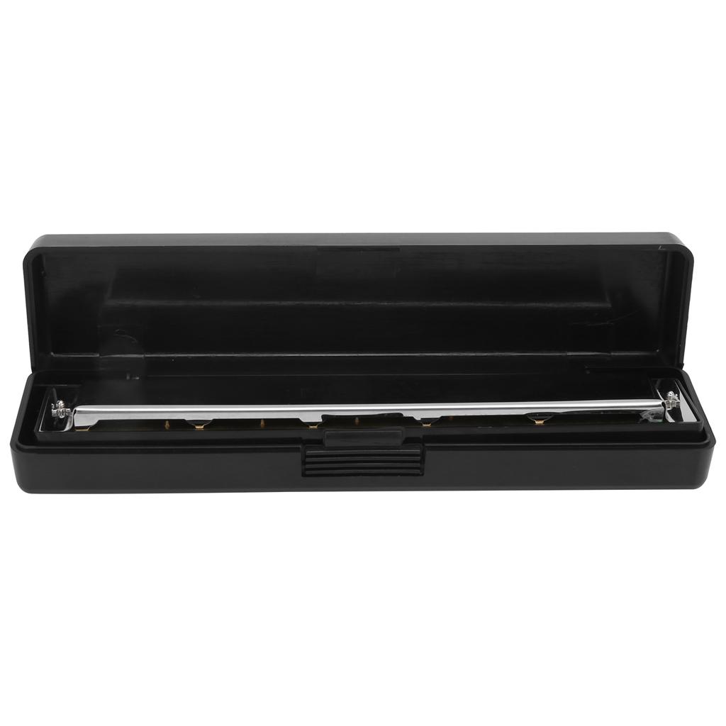 Harmonica D Key 24 Hole Playing Mouth Organ Wind Musical Instrument with Box Cloth