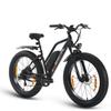 SPATIAL Parrot Bicicletta Elettrica da Donna All-Terrain Motore 250W Batteria 48V13AH Bicicletta Elettrica da Passeggio all'Aperto Bici Elettrica da Montagna Off-Road da 26 Pollici
