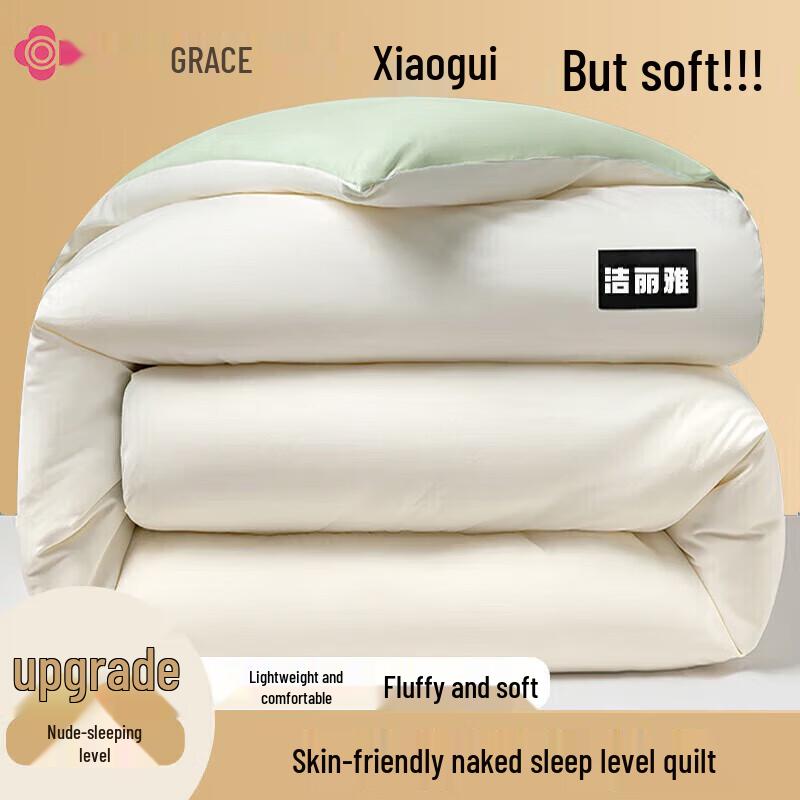 

Jieliya Class A All-Season Lightweight Comforter