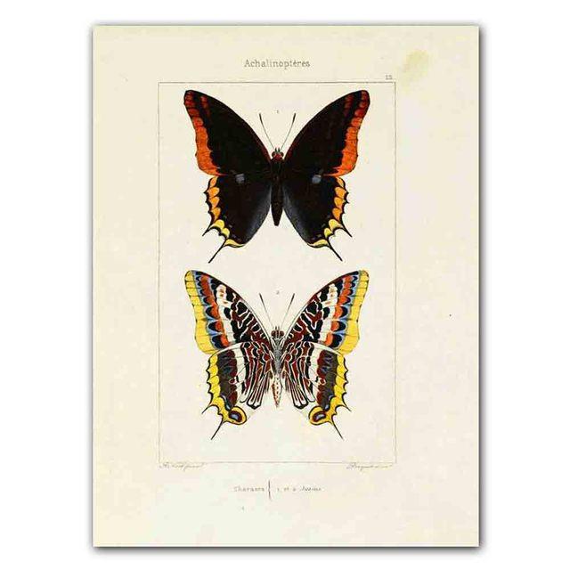 Nordic RETRO Art Canvas Painting Butterfly Insect Evolution Poster Living Room Corridor Wall Painting Home Decoration Mural No Frame