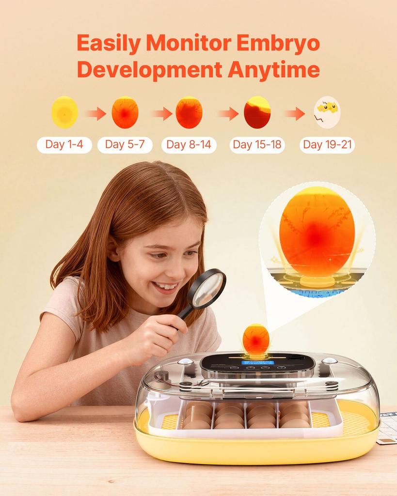 24 Egg Incubator, Automatic Egg Turner with LED Candler, Temperature & Humidity Control, 360° View Clear Window, Auto Water Refill, Poultry Eggs