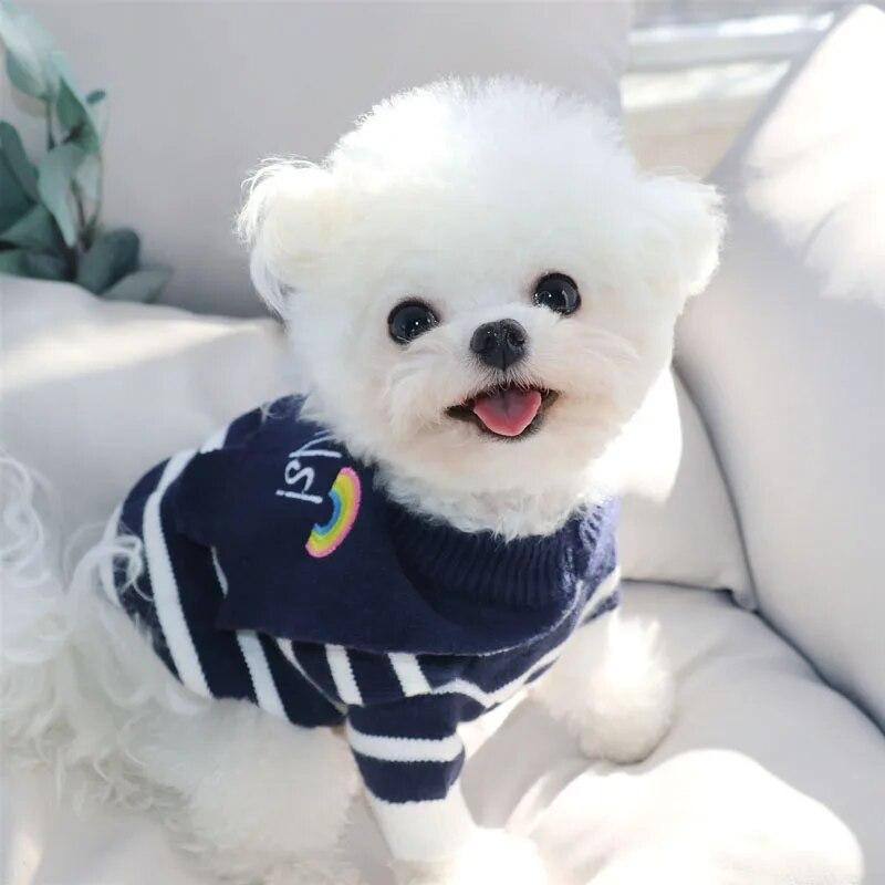 

Тедди-свитер с лацканами, зимняя одежда для щенков, вязаная рубашка в полоску с медведем, мягкий пуловер шнауцера, милая одежда для собак