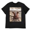 Baby Orangutan T-Shirt Funny T-shirts Topping Vintage Anime Shirt Customizeds Tshirts for Men