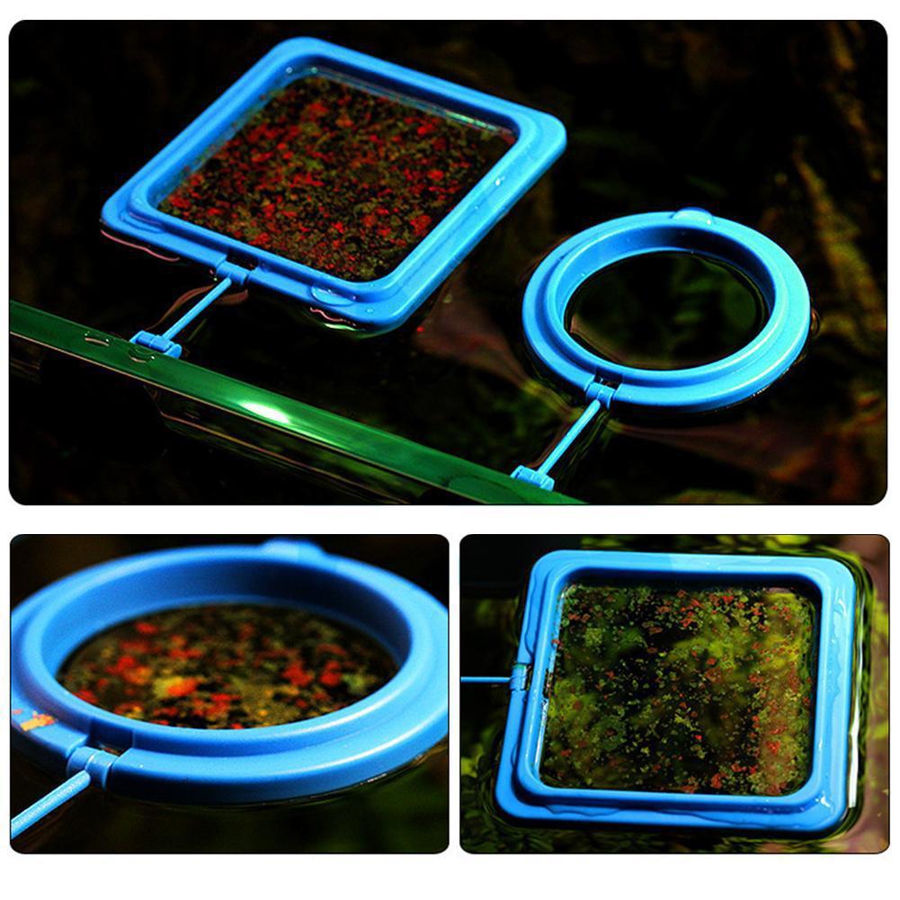 Fish Food Feeding Ring Aquarium Fish Tank Fish Feeder for Tropical Fish Food Feeding Assistant Single Layer Black Square