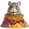 Supplementary Herbs for Chinchillas 100G Natural Mixture for Rodents