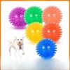 Vocal Spiny Dog Ball, Biting Pet Toy, Elastic Interactive Dog Toy Ball