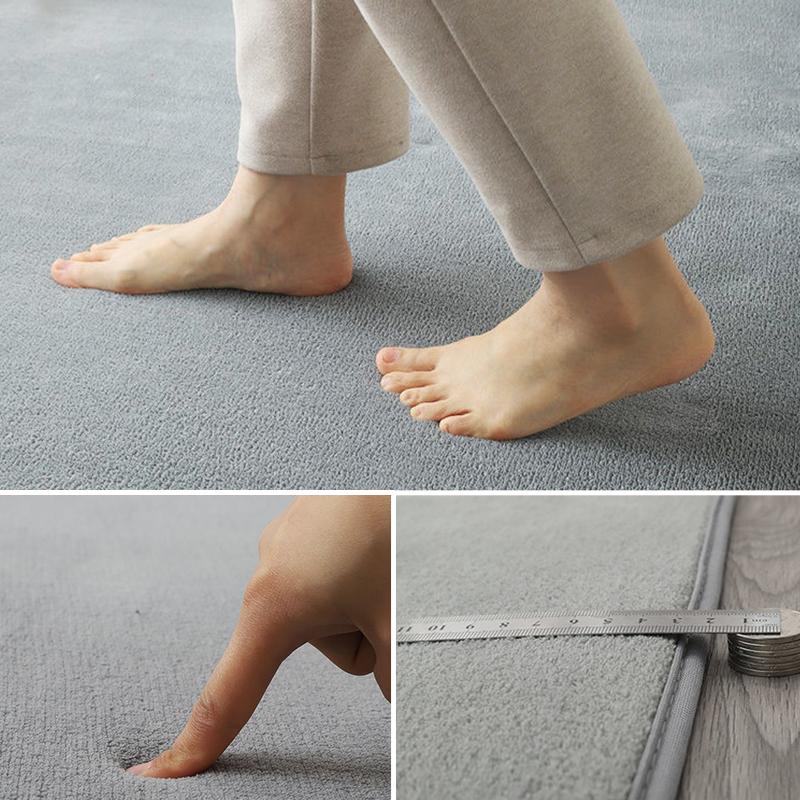 2025 Carpet Living Room Simple Modern Bedroom Plush Carpet Nordic Tatami Carpet