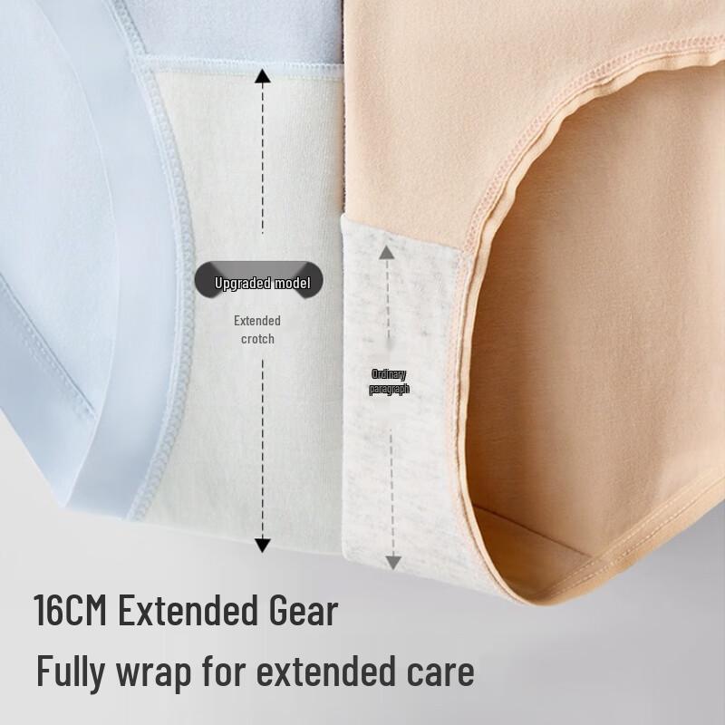 Nei Xiao Ban Women's Breathable & Antibacterial Cotton Blend 5-Pack Briefs