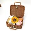 Wicker Picnic Basket, Vintage Decorative Prop Suitcase Storage Hamper Makeup Organizer,Metal Lock Plastic Rattan