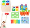 Montessori Toys Play Kit Sorting & Matching Toys Coin Ball Box Multi-function Stick Pull Radish Game Baby Learning Toys