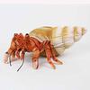 Wildgraphy Hermit Crab Plush Toy SA047