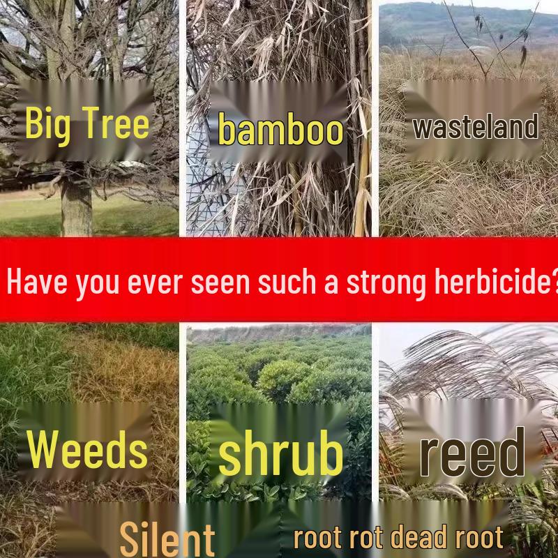 Tree Root Rot Eliminator: Powerful One-Drop Solution for Killing Rot, Weeds, and Bamboo