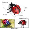 Oenux New Insect Animals Model Butterfly Bee Dragonfly Mantis Ant Snail Action Figures Jouet Collection Decor Kids Education Toy