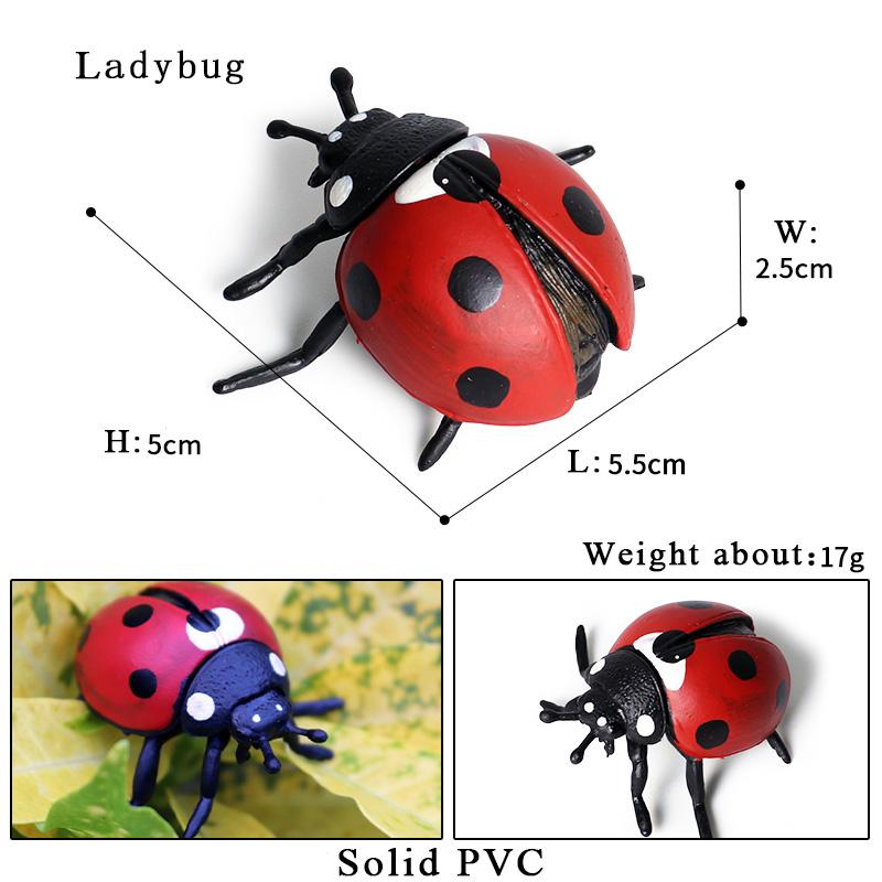 Oenux New Insect Animals Model Butterfly Bee Dragonfly Mantis Ant Snail Action Figures Jouet Collection Decor Kids Education Toy