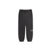 Stussy Dyed Stussy Designs Pant 116561