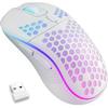 Periferice pentru calculatoare – Mouse-uri