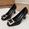 Fashion Women's Slim Heel Shoes Spring New Square Head Shallow Mouth Metal Square Buckle Anti-slip Wear-resistant High Heels