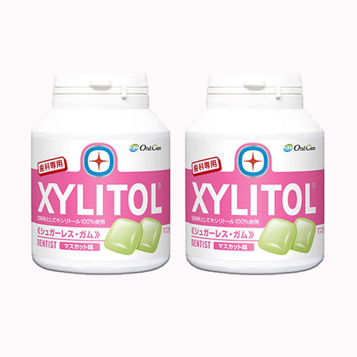 Dental Use Xylitol Gum Bottle Type 90 Pieces (Muscat) (2 Packs)