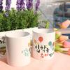 Cg995-Tasse Design 2p-Nouveau Départ Admission