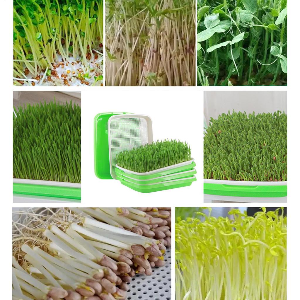 Sprouting Trays Reusable Planting Trays Multi-Layer Sprout Vegetable Planting Tool For Professional Indoor Watering Breeding