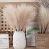 Home Decoration Plante Wedding Decor Artificial Reed Pampas Grass Fake Flowers Artificial Flower
