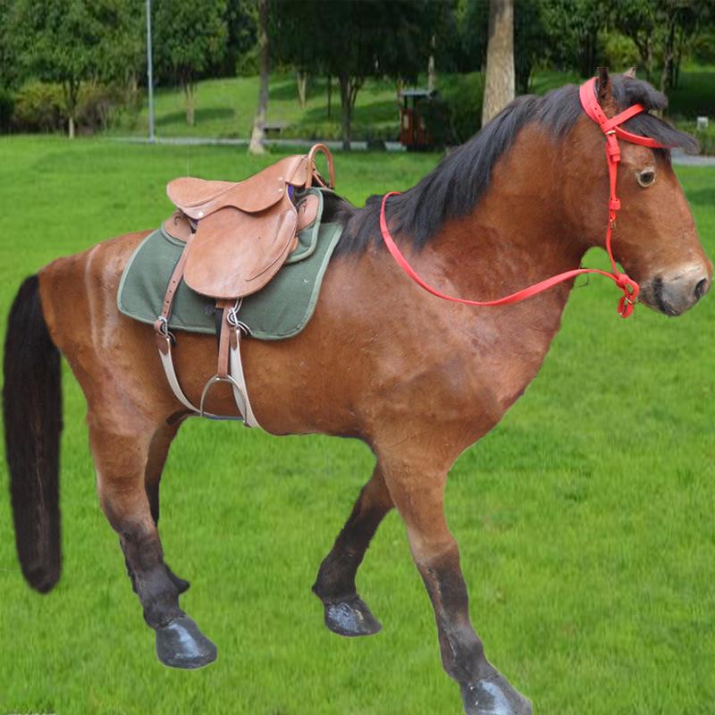 Akhal-Teke War Horse Genuine Leather Model for Exhibitions