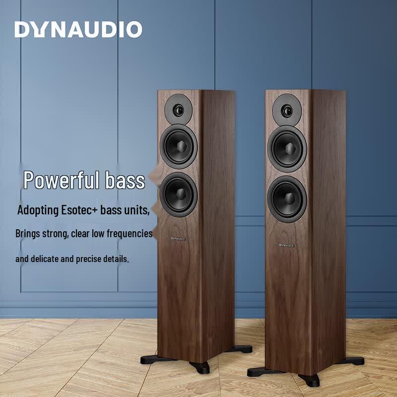 Dynaudio Evoke 30 HiFi Passive Floor-standing Speakers (CN version)