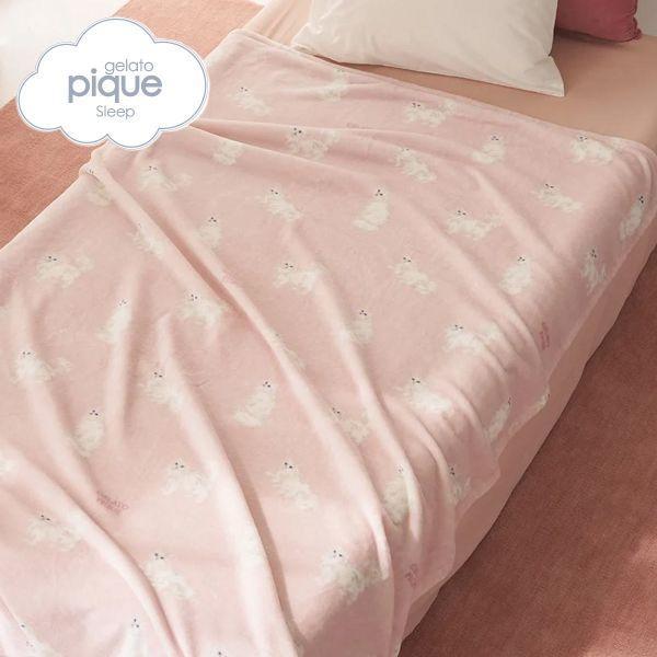 gelato pique sleep CAT pattern cotton blanket gelato pique sleep