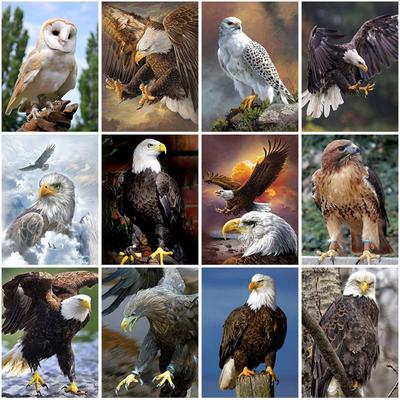 5D Diamond Painting Full Round Drill Owl Eagle Cross Stitch Animals Rhinestones Mosaic Diamond Embroidery Wall Art Home Decor