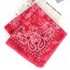 Mode Unisex Damen Herren Bandana Haarband Cowboy Herren Biker Sport Kopfbedeckung Handgelenk Haarband Einseitiges Kopfband Schal Paisley