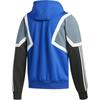 Adidas Originals Sweatshirts Men's Blue Hooded Moderate Other CE4802
