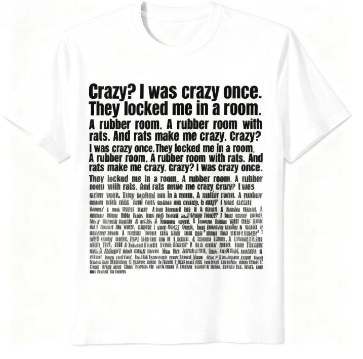 2025 New Summer Crazy I Was Crazy Once They Locked Me in A Room Funny Meme T-Shirt 4XL