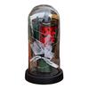 LED Clear Dome Pumpkin Night Light Halloween Light-up Pumpkin In Cloche with Artificial Flower for Home Kitchen Mantel Party Decor