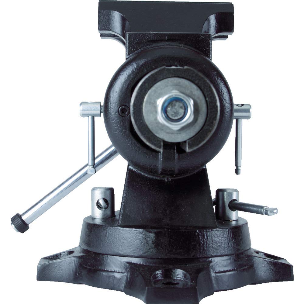 TRUSCO Medium Multi Combination Vise 125mm TMCV-125