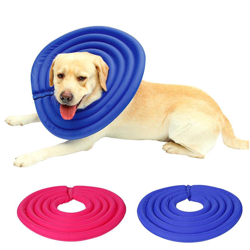 inflatable e collar