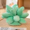 Mini Stuffed Succulents Doll Simulation Succulents Plush Pillow Botany Plush Toy  Birthday Gift