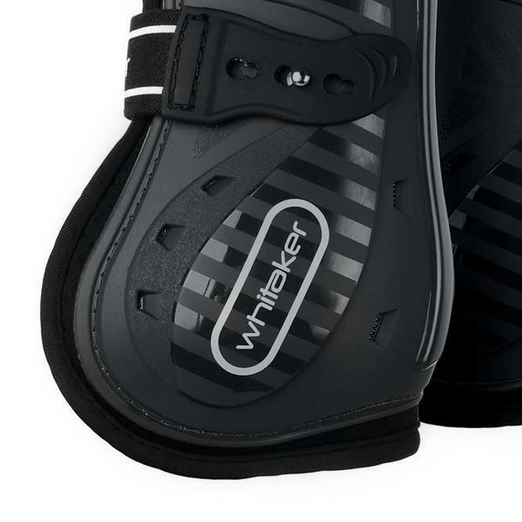 Whitaker Bingley Horse Tendon Boots (Pack of 4)