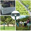 Solar Ultrasonic Animal Repeller for Birds, Dogs, Cats, Snakes, Insects, and Rodents - Outdoor Use for Orchards