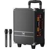Newmine N518 8-Zoll tragbarer Bluetooth Karaoke-Trolley-Lautsprecher mit zwei Mikrofonen CN-Stecker (Adapter enthalten) (CN-Version)