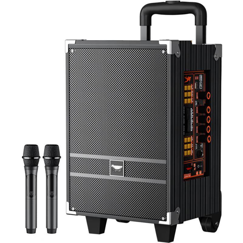 Newmine N518 8-Zoll tragbarer Bluetooth Karaoke-Trolley-Lautsprecher mit zwei Mikrofonen CN-Stecker (Adapter enthalten) (CN-Version)