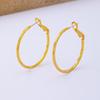 Gold-Plated Carved Flower Circle Earrings for Women - Light Luxury, Versatile, High-End Niche Accessory