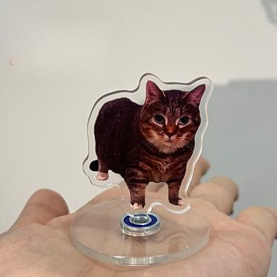 Cute Oiiai Cat NEW Pattern Acrylic 360° Rotating Kitten Stands for Desk Decoration Home Decor Car Motorcycle Kids Adults Gifts